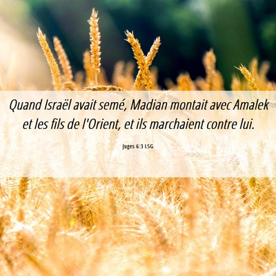 Picture 06 - Juges 6:3 LSG - Quand Israël avait semé, Madian montait avec - Bible Verse Picture