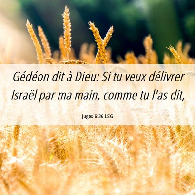Picture 06 - Juges 6:36 LSG - Gédéon dit à Dieu: Si tu veux délivrer - Bible Verse Picture
