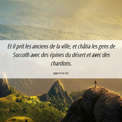 Picture 06 - Juges 8:16 LSG - Et il prit les anciens de la ville, et châtia - Bible Verse Picture