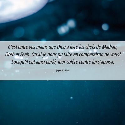 Picture 06 - Juges 8:3 LSG - C'est entre vos mains que Dieu a livré les chefs - Bible Verse Picture