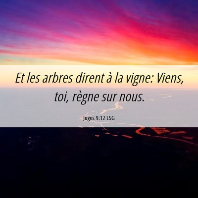 Picture 06 - Juges 9:12 LSG - Et les arbres dirent à la vigne: Viens, toi, - Bible Verse Picture
