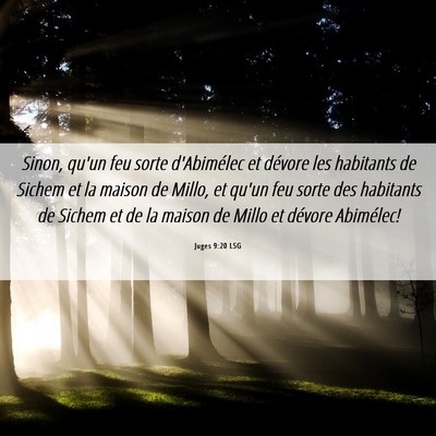 Picture 06 - Juges 9:20 LSG - Sinon, qu'un feu sorte d'Abimélec et dévore les - Bible Verse Picture