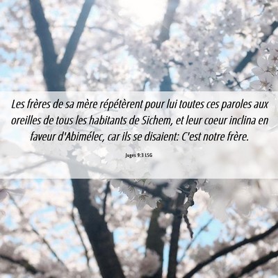 Picture 06 - Juges 9:3 LSG - Les frères de sa mère répétèrent pour lui - Bible Verse Picture
