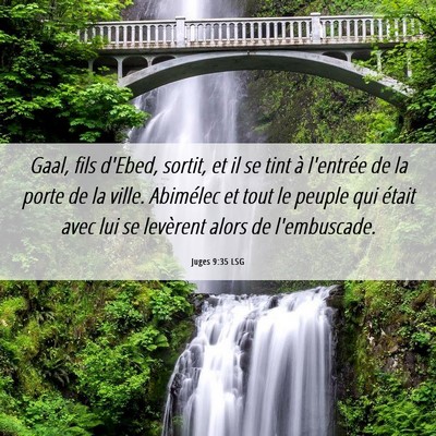 Picture 06 - Juges 9:35 LSG - Gaal, fils d'Ebed, sortit, et il se tint à - Bible Verse Picture