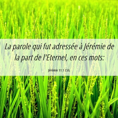 Picture 06 - Jérémie 11:1 LSG - La parole qui fut adressée à Jérémie de la - Bible Verse Picture