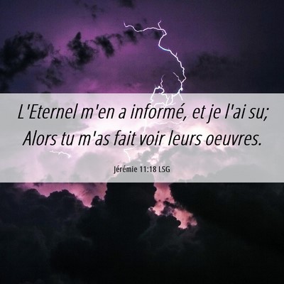 Picture 06 - Jérémie 11:18 LSG - L'Eternel m'en a informé, et je l'ai su; Alors - Bible Verse Picture