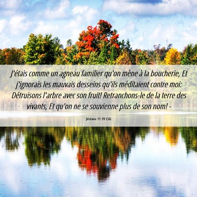 Picture 06 - Jérémie 11:19 LSG - J'étais comme un agneau familier qu'on mène à - Bible Verse Picture