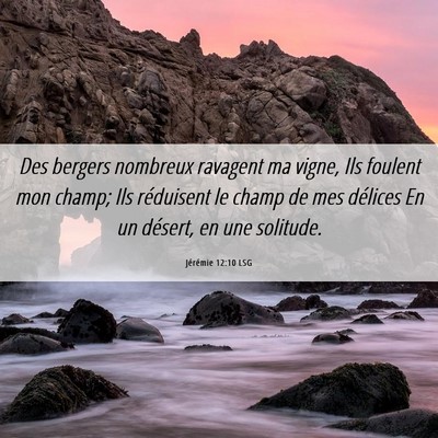 Picture 06 - Jérémie 12:10 LSG - Des bergers nombreux ravagent ma vigne, Ils - Bible Verse Picture