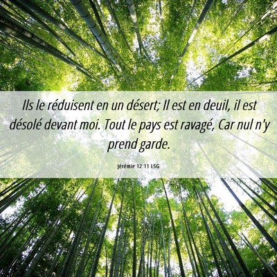 Picture 06 - Jérémie 12:11 LSG - Ils le réduisent en un désert; Il est en deuil, - Bible Verse Picture
