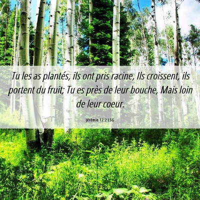 Picture 06 - Jérémie 12:2 LSG - Tu les as plantés, ils ont pris racine, Ils - Bible Verse Picture