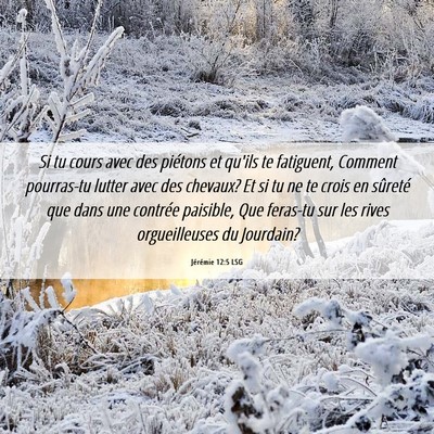 Picture 06 - Jérémie 12:5 LSG - Si tu cours avec des piétons et qu'ils te - Bible Verse Picture