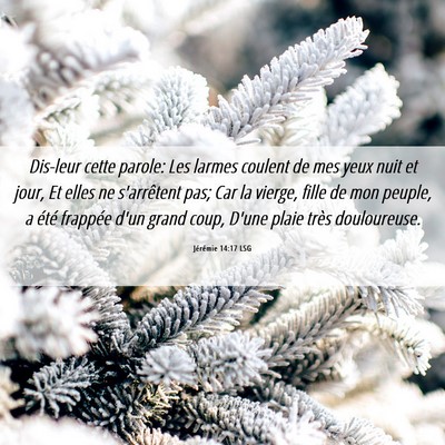 Picture 06 - Jérémie 14:17 LSG - Dis-leur cette parole: Les larmes coulent de mes - Bible Verse Picture