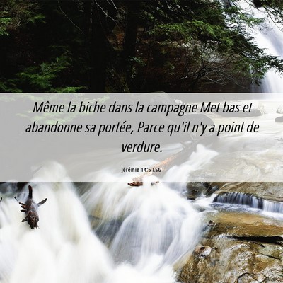 Picture 06 - Jérémie 14:5 LSG - Même la biche dans la campagne Met bas et - Bible Verse Picture