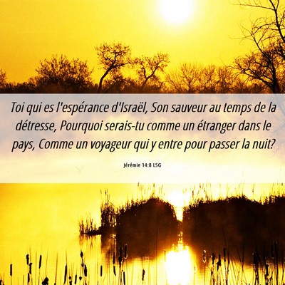 Picture 06 - Jérémie 14:8 LSG - Toi qui es l'espérance d'Israël, Son sauveur au - Bible Verse Picture