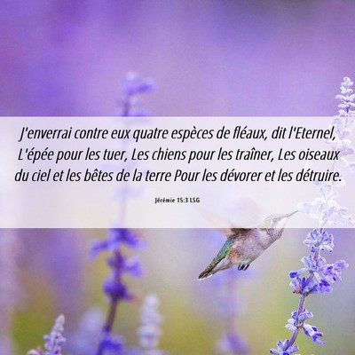Picture 06 - Jérémie 15:3 LSG - J'enverrai contre eux quatre espèces de fléaux, - Bible Verse Picture