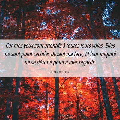 Picture 06 - Jérémie 16:17 LSG - Car mes yeux sont attentifs à toutes leurs - Bible Verse Picture