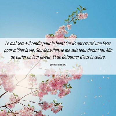 Picture 06 - Jérémie 18:20 LSG - Le mal sera-t-il rendu pour le bien? Car ils ont - Bible Verse Picture