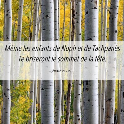 Picture 06 - Jérémie 2:16 LSG - Même les enfants de Noph et de Tachpanès Te - Bible Verse Picture
