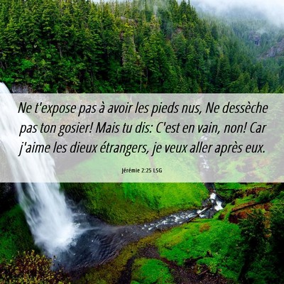 Picture 06 - Jérémie 2:25 LSG - Ne t'expose pas à avoir les pieds nus, Ne - Bible Verse Picture