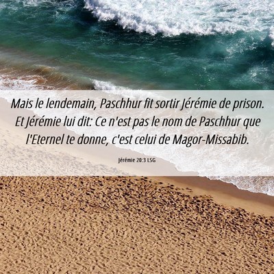 Picture 06 - Jérémie 20:3 LSG - Mais le lendemain, Paschhur fit sortir Jérémie - Bible Verse Picture