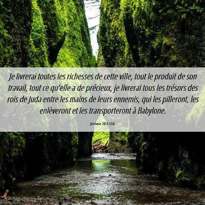 Picture 06 - Jérémie 20:5 LSG - Je livrerai toutes les richesses de cette ville, - Bible Verse Picture
