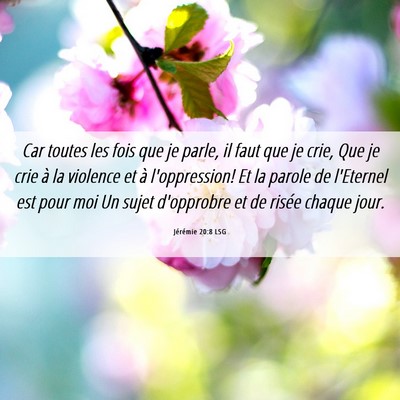 Picture 06 - Jérémie 20:8 LSG - Car toutes les fois que je parle, il faut que je - Bible Verse Picture
