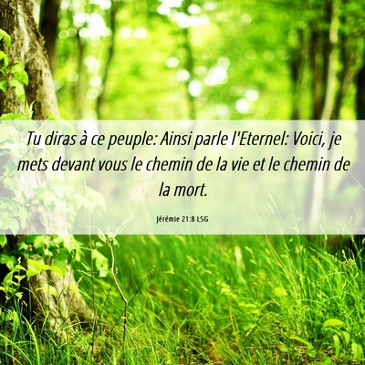 Picture 06 - Jérémie 21:8 LSG - Tu diras à ce peuple: Ainsi parle l'Eternel: - Bible Verse Picture