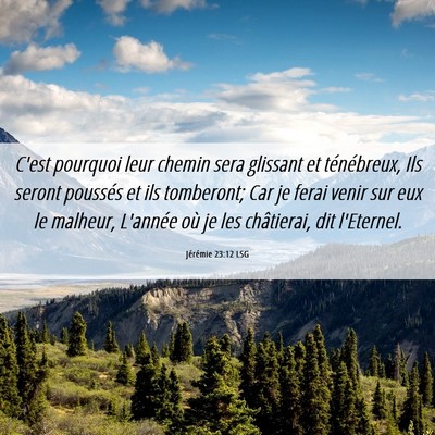 Picture 06 - Jérémie 23:12 LSG - C'est pourquoi leur chemin sera glissant et - Bible Verse Picture