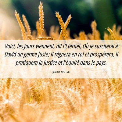 Picture 06 - Jérémie 23:5 LSG - Voici, les jours viennent, dit l'Eternel, Où je - Bible Verse Picture
