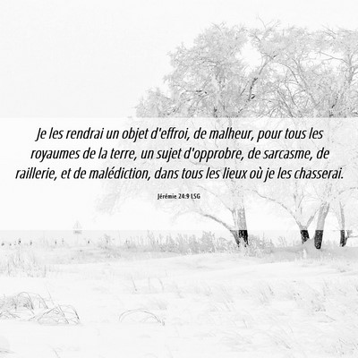 Picture 06 - Jérémie 24:9 LSG - Je les rendrai un objet d'effroi, de malheur, - Bible Verse Picture
