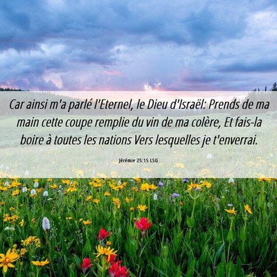 Picture 06 - Jérémie 25:15 LSG - Car ainsi m'a parlé l'Eternel, le Dieu - Bible Verse Picture