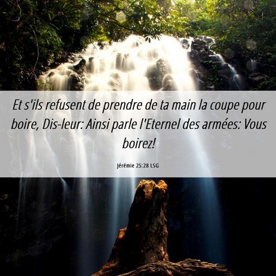 Picture 06 - Jérémie 25:28 LSG - Et s'ils refusent de prendre de ta main la coupe - Bible Verse Picture