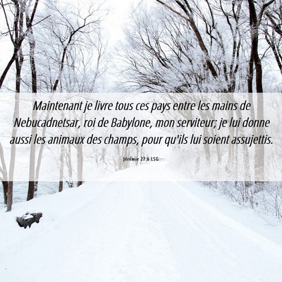 Picture 06 - Jérémie 27:6 LSG - Maintenant je livre tous ces pays entre les mains - Bible Verse Picture