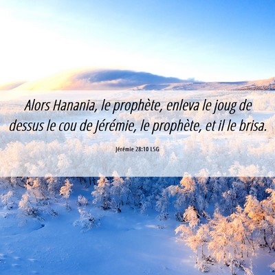Picture 06 - Jérémie 28:10 LSG - Alors Hanania, le prophète, enleva le joug de - Bible Verse Picture