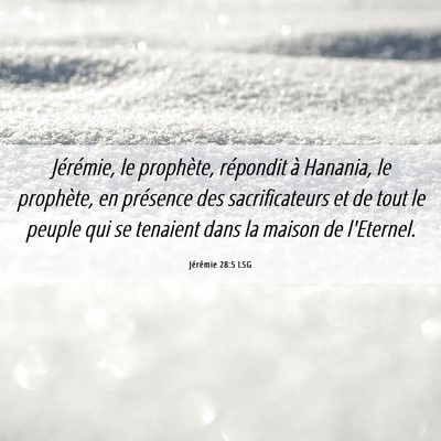 Picture 06 - Jérémie 28:5 LSG - Jérémie, le prophète, répondit à Hanania, le - Bible Verse Picture