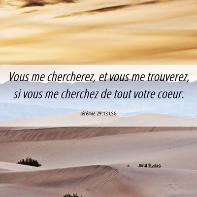 Picture 06 - Jérémie 29:13 LSG - Vous me chercherez, et vous me trouverez, si vous - Bible Verse Picture