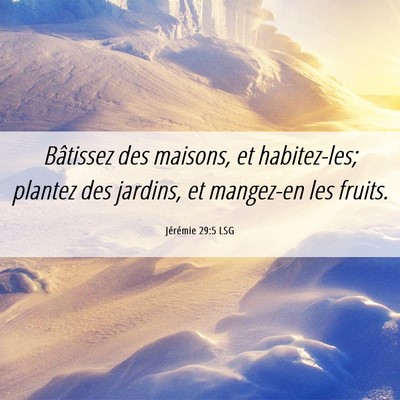 Picture 06 - Jérémie 29:5 LSG - Bâtissez des maisons, et habitez-les; plantez - Bible Verse Picture