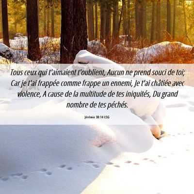 Picture 06 - Jérémie 30:14 LSG - Tous ceux qui t'aimaient t'oublient, Aucun ne - Bible Verse Picture