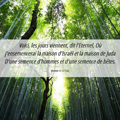 Picture 06 - Jérémie 31:27 LSG - Voici, les jours viennent, dit l'Eternel, Où - Bible Verse Picture