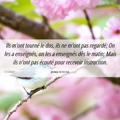 Picture 06 - Jérémie 32:33 LSG - Ils m'ont tourné le dos, ils ne m'ont pas - Bible Verse Picture
