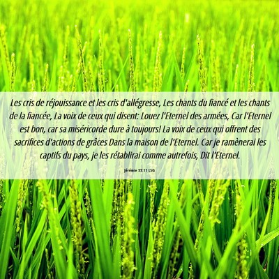 Picture 06 - Jérémie 33:11 LSG - Les cris de réjouissance et les cris - Bible Verse Picture