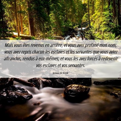 Picture 06 - Jérémie 34:16 LSG - Mais vous êtes revenus en arrière, et vous avez - Bible Verse Picture