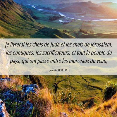 Picture 06 - Jérémie 34:19 LSG - je livrerai les chefs de Juda et les chefs de - Bible Verse Picture