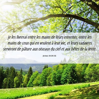 Picture 06 - Jérémie 34:20 LSG - je les livrerai entre les mains de leurs ennemis, - Bible Verse Picture