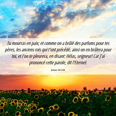 Picture 06 - Jérémie 34:5 LSG - Tu mourras en paix; et comme on a brûlé des - Bible Verse Picture