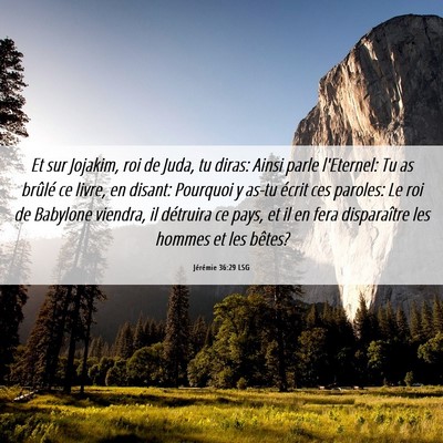 Picture 06 - Jérémie 36:29 LSG - Et sur Jojakim, roi de Juda, tu diras: Ainsi - Bible Verse Picture