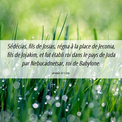 Picture 06 - Jérémie 37:1 LSG - Sédécias, fils de Josias, régna à la place de - Bible Verse Picture