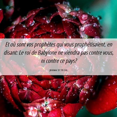 Picture 06 - Jérémie 37:19 LSG - Et où sont vos prophètes qui vous - Bible Verse Picture