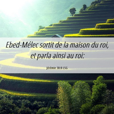 Picture 06 - Jérémie 38:8 LSG - Ebed-Mélec sortit de la maison du roi, et parla - Bible Verse Picture
