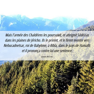 Picture 06 - Jérémie 39:5 LSG - Mais l'armée des Chaldéens les poursuivit, et - Bible Verse Picture